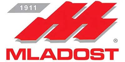 Mladost